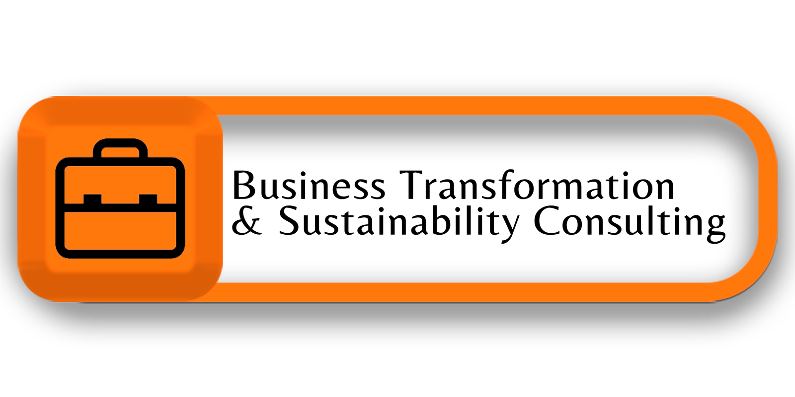 Business Transformation & Sustainability Consulting